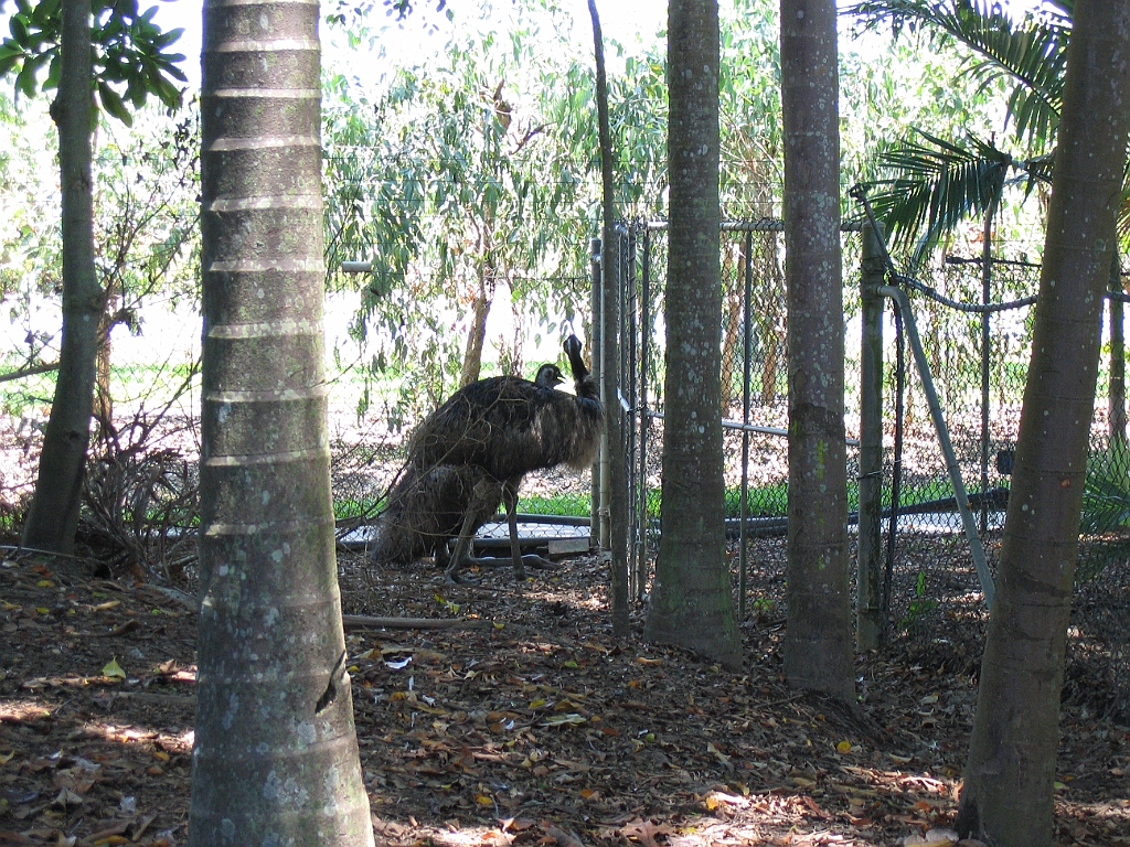 CairnsTC281 Wildlife Habitat.jpg